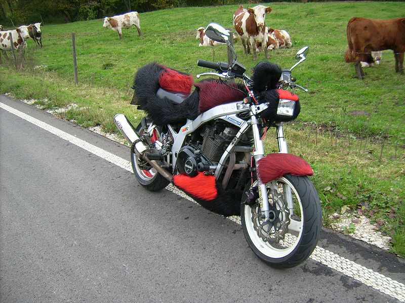 Datei:DSCI0947.JPG